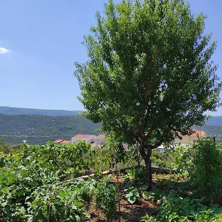 One Bedroom Gogo With Private Parking * Neum