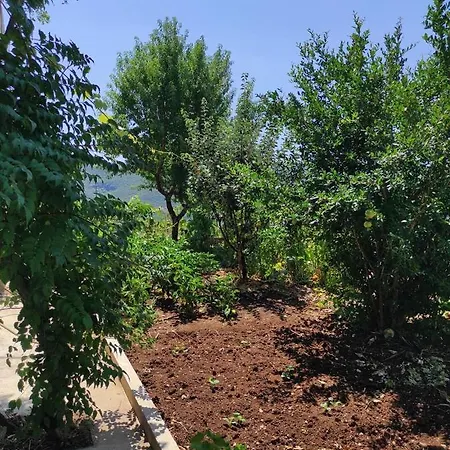 One Bedroom Gogo With Private Parking * Neum
